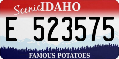 ID license plate E523575