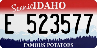 ID license plate E523577