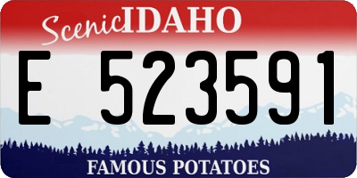 ID license plate E523591
