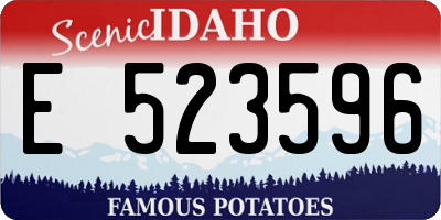 ID license plate E523596