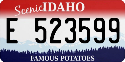 ID license plate E523599