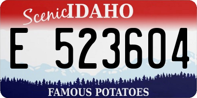 ID license plate E523604