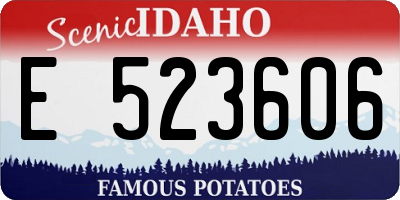ID license plate E523606