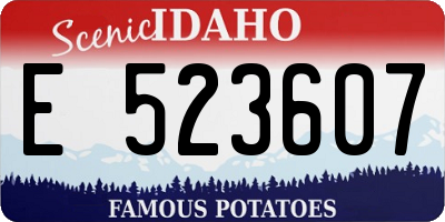 ID license plate E523607