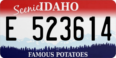 ID license plate E523614