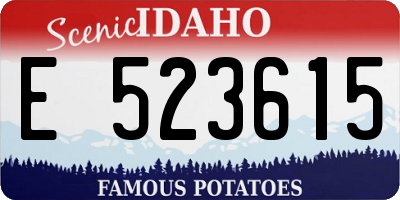 ID license plate E523615