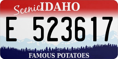 ID license plate E523617