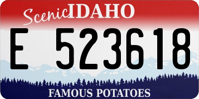 ID license plate E523618