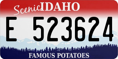 ID license plate E523624