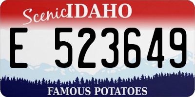 ID license plate E523649