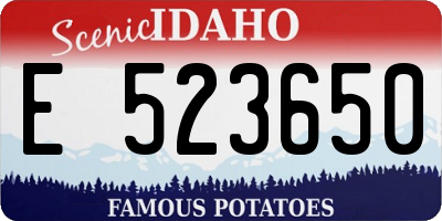 ID license plate E523650