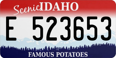 ID license plate E523653