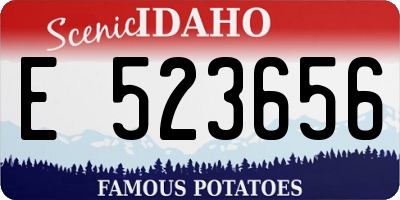 ID license plate E523656