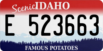 ID license plate E523663