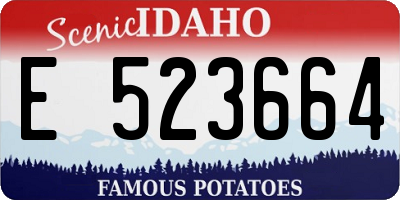 ID license plate E523664