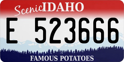 ID license plate E523666