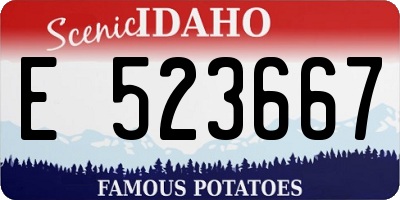 ID license plate E523667
