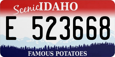 ID license plate E523668