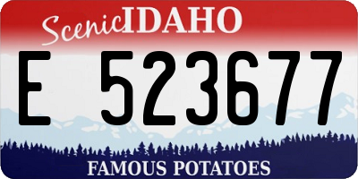 ID license plate E523677