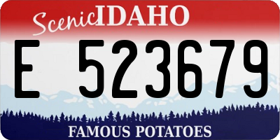 ID license plate E523679