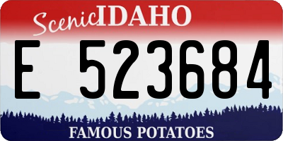 ID license plate E523684