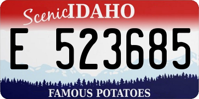 ID license plate E523685
