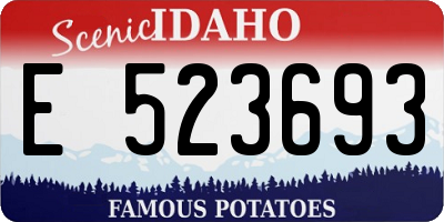 ID license plate E523693