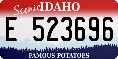 ID license plate E523696