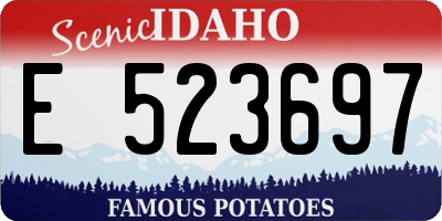 ID license plate E523697