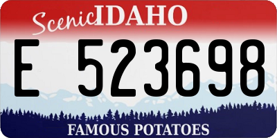 ID license plate E523698