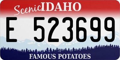 ID license plate E523699