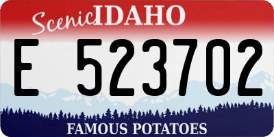 ID license plate E523702