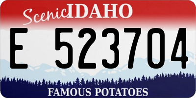 ID license plate E523704