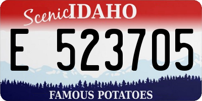 ID license plate E523705