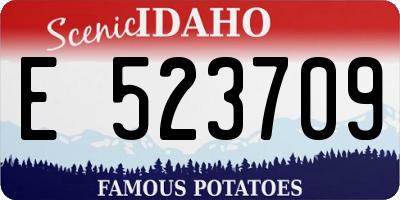 ID license plate E523709