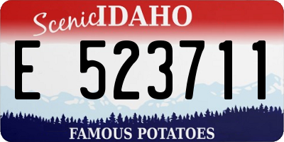 ID license plate E523711