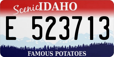ID license plate E523713