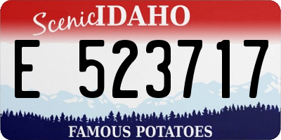 ID license plate E523717