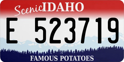 ID license plate E523719