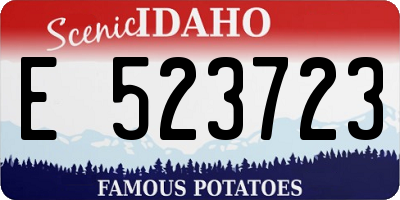 ID license plate E523723