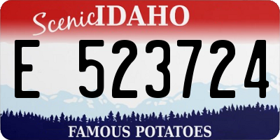 ID license plate E523724