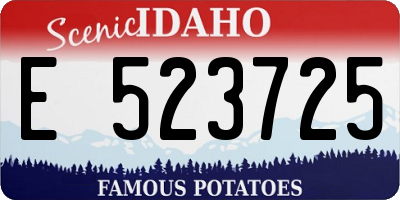 ID license plate E523725