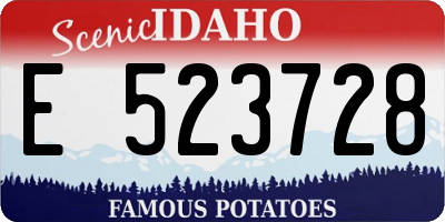 ID license plate E523728