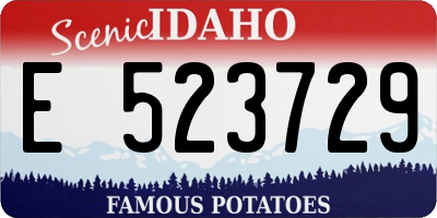 ID license plate E523729