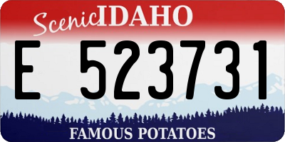ID license plate E523731