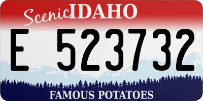 ID license plate E523732