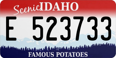 ID license plate E523733