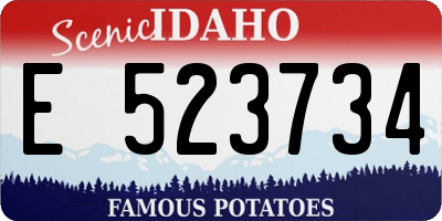 ID license plate E523734