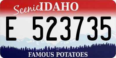 ID license plate E523735