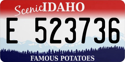 ID license plate E523736